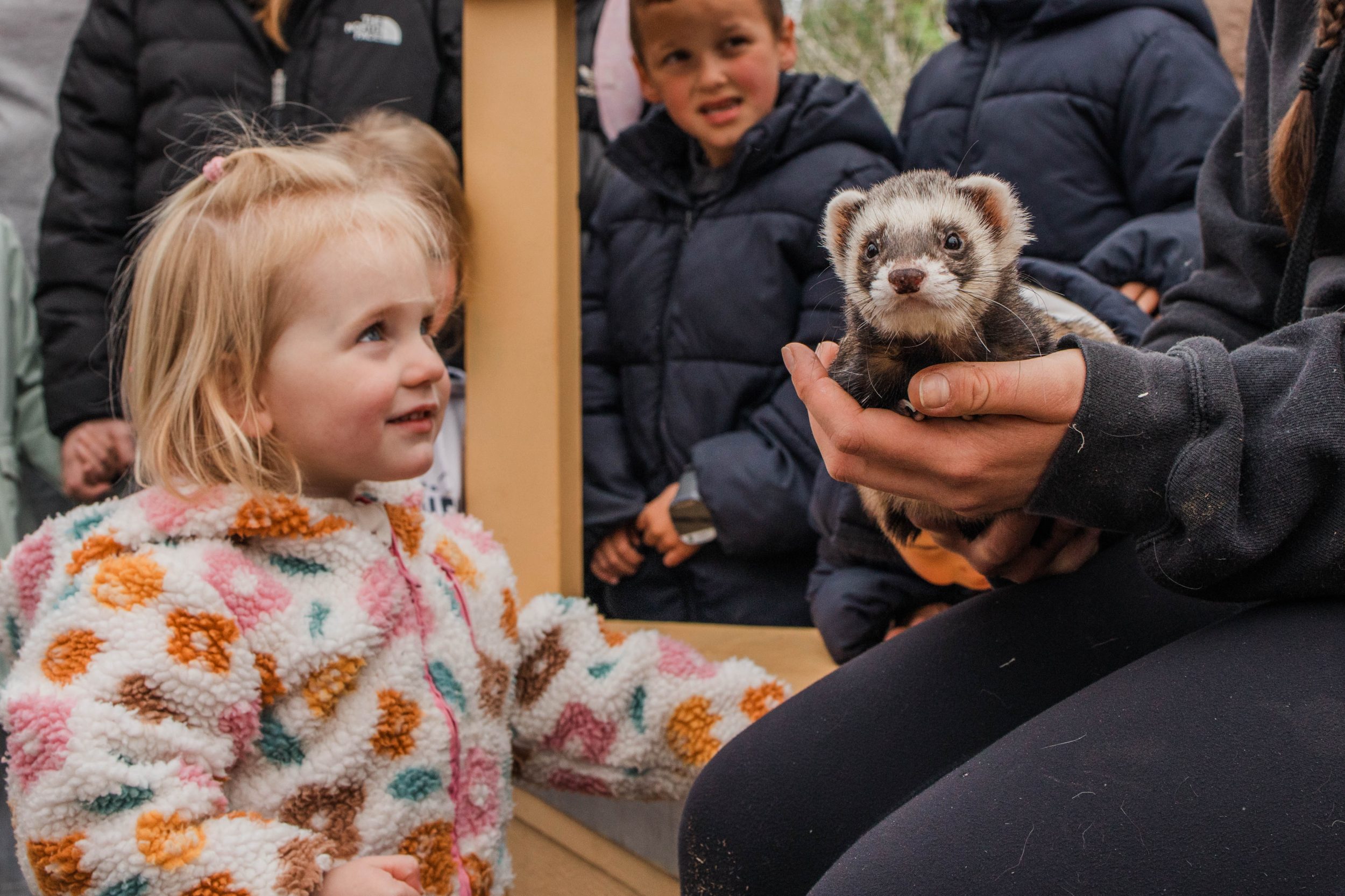Image showing Almond Valley Heritage Centre