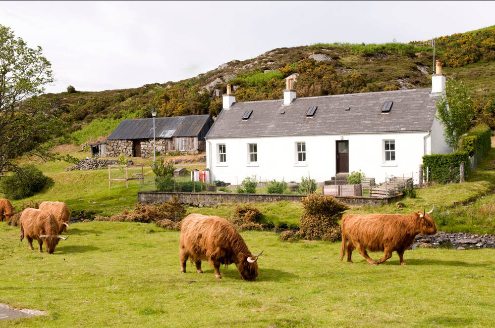 Image showing Balmacara Estate and Lochalsh Woodland