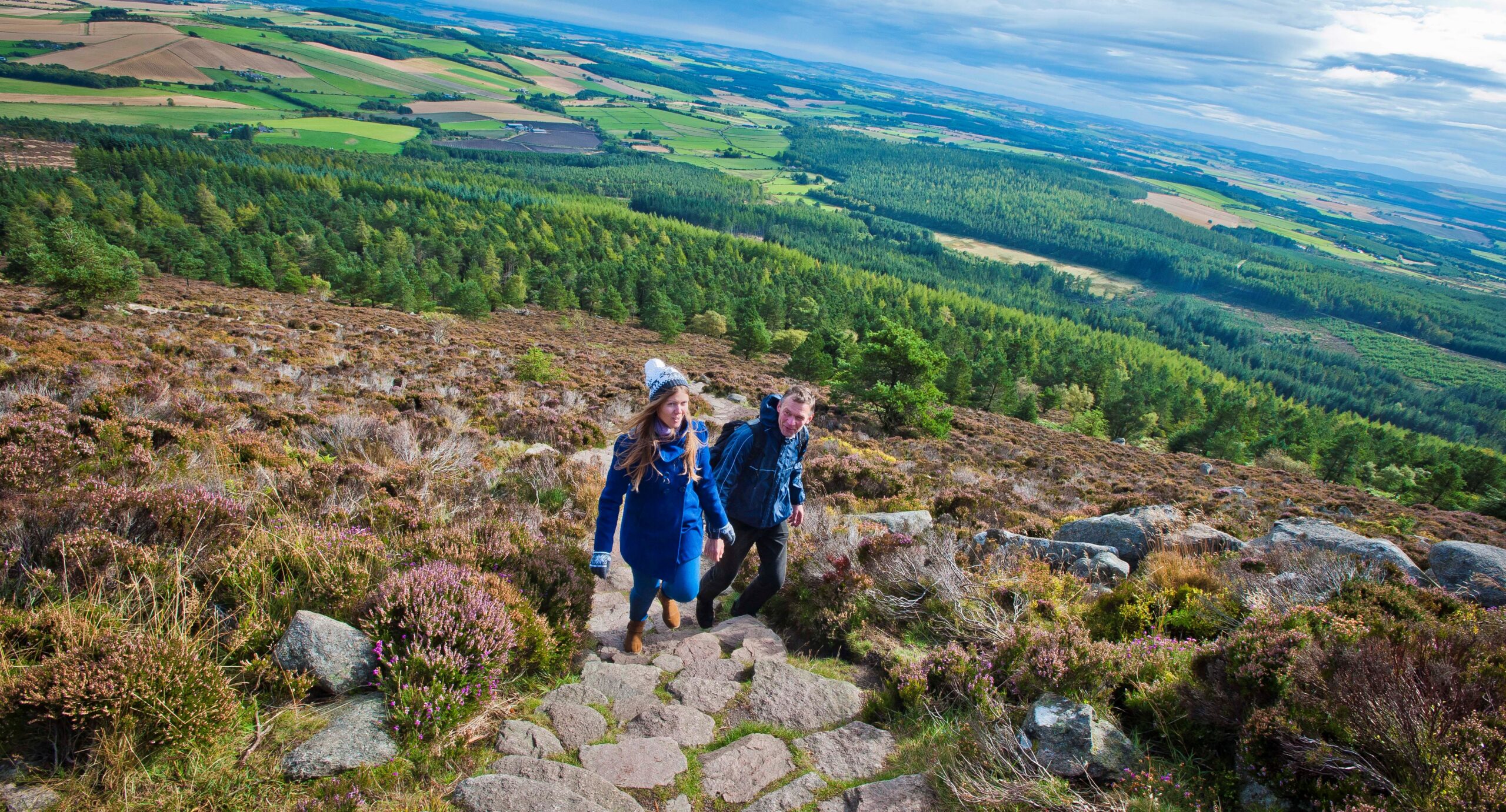 Image showing Bennachie