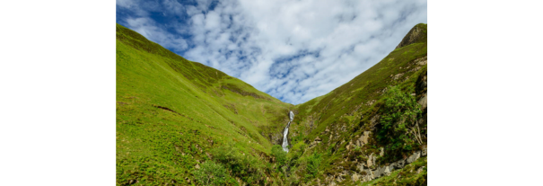 Image showing Gray Mare's Tail Nature Reserve