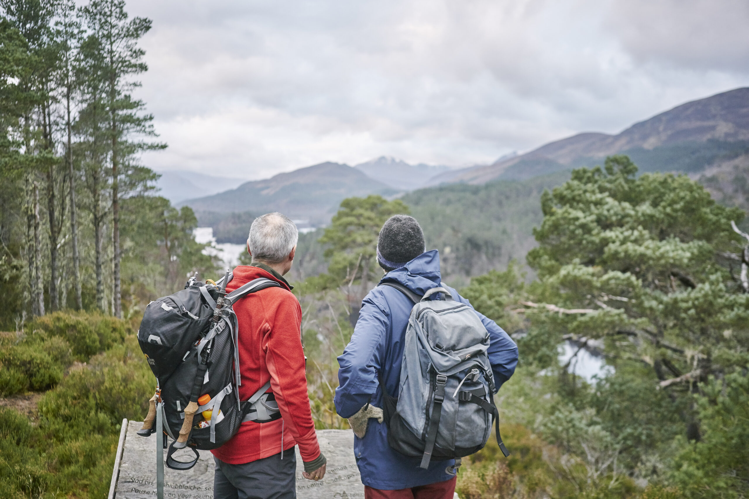 Image showing Glen Affric