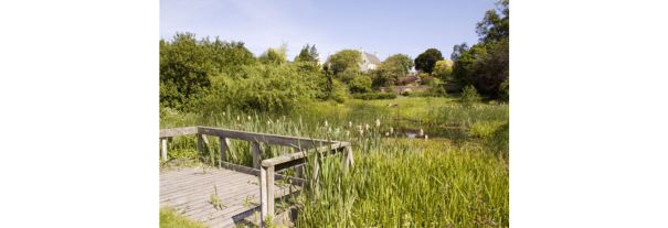 Image showing Inveresk Lodge Garden