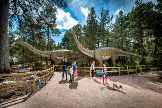 Image showing Landmark Forest Adventure Park