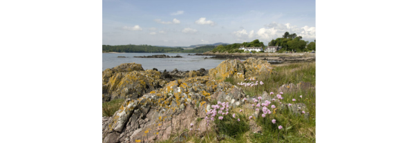 Image showing Rockcliffe