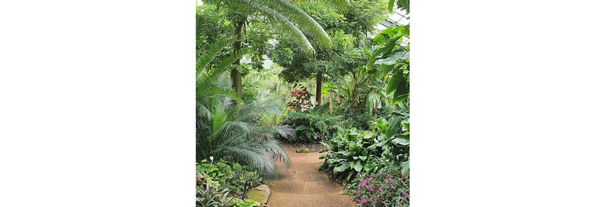 Image showing University of Dundee Botanic Garden