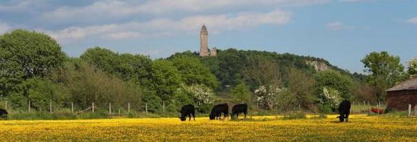 Image showing National Wallace Monument