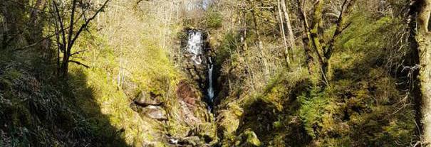 Image showing The Lodge Forest Visitor Centre - Aberfoyle