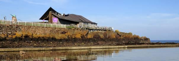 Image showing Scottish Seabird Centre