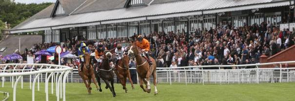 Image showing Musselburgh Racecourse