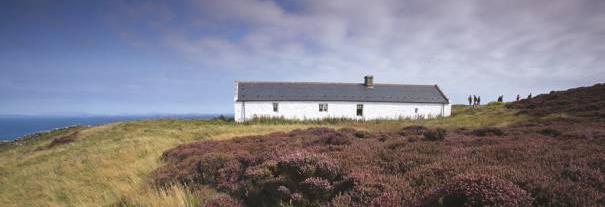 Image showing RSPB Scotland Mull of Galloway nature reserve