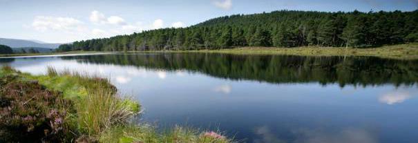 Image showing RSPB Scotland Loch Garten Nature Centre