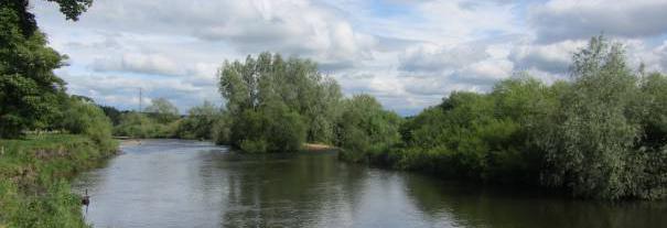 Image showing RSPB Scotland Baron's Haugh nature reserve