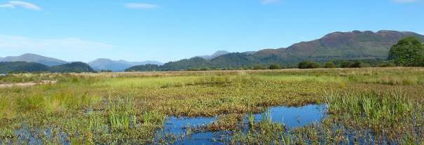 Image showing RSPB Scotland Loch Lomond nature reserve