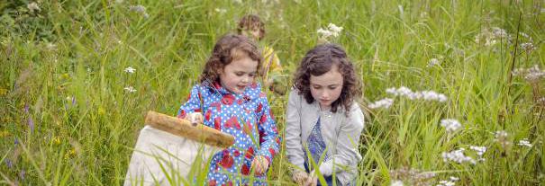 Image showing RSPB Scotland Lochwinnoch nature reserve