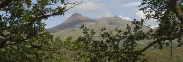 Image showing Glen Nant NNR