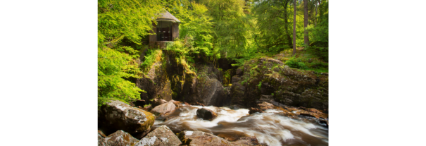 Image showing Dunkeld and The Hermitage