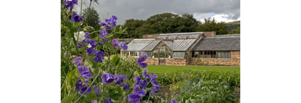 Image showing Harmony Garden