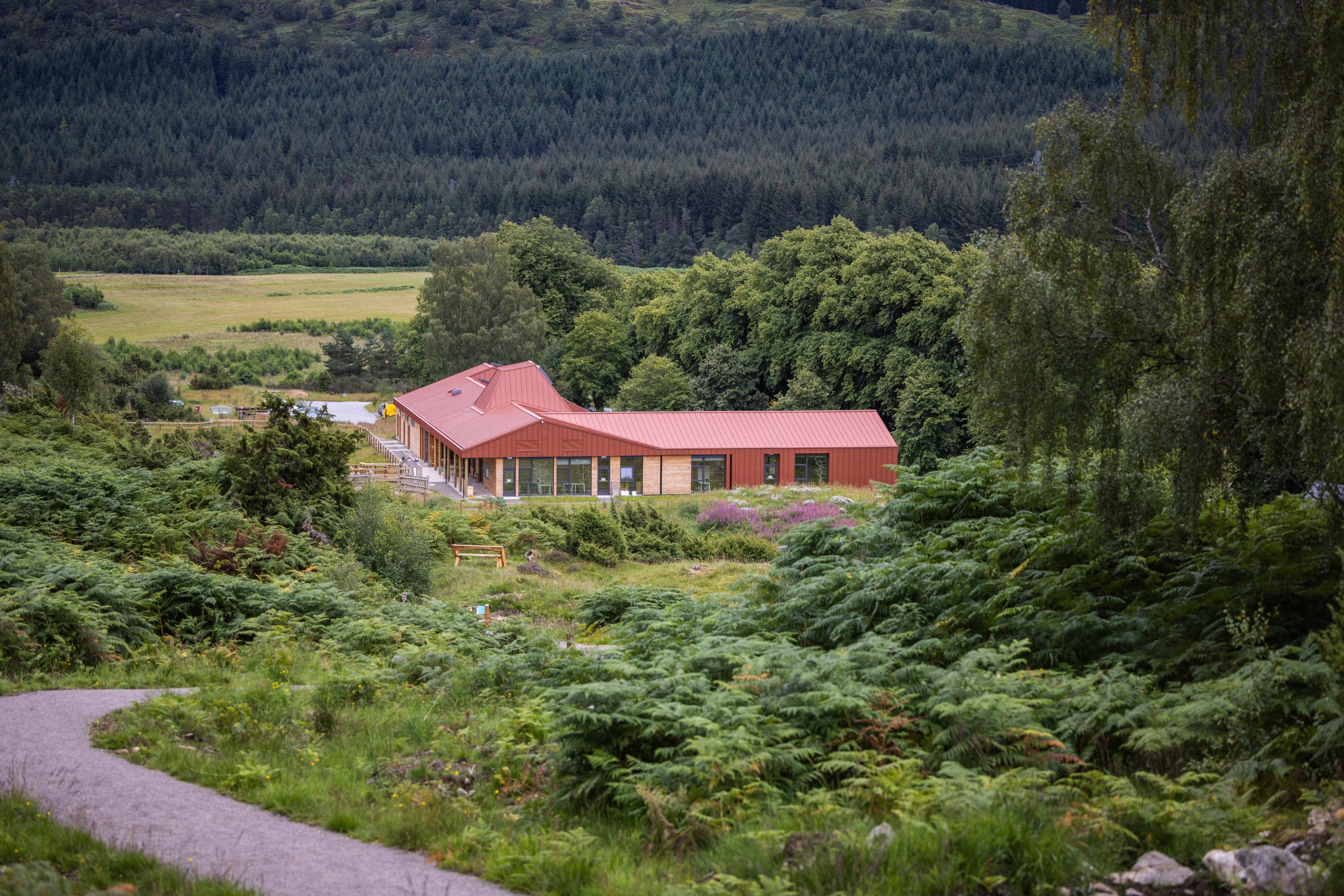 Image showing Dundreggan Rewilding Centre