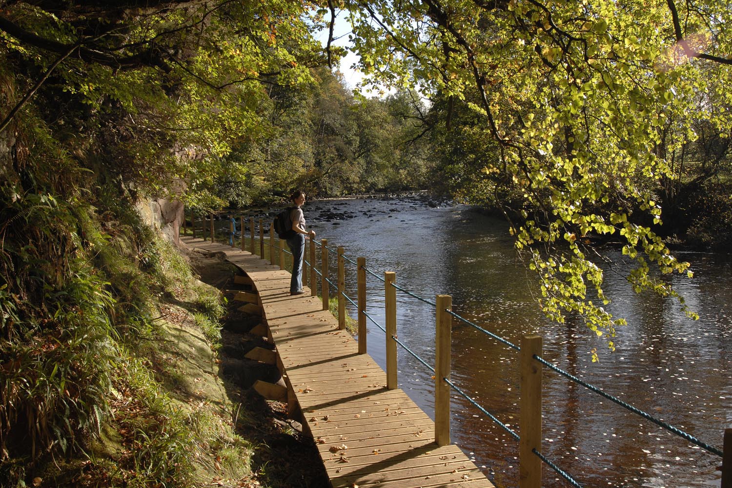 Image showing The River Ayr Way