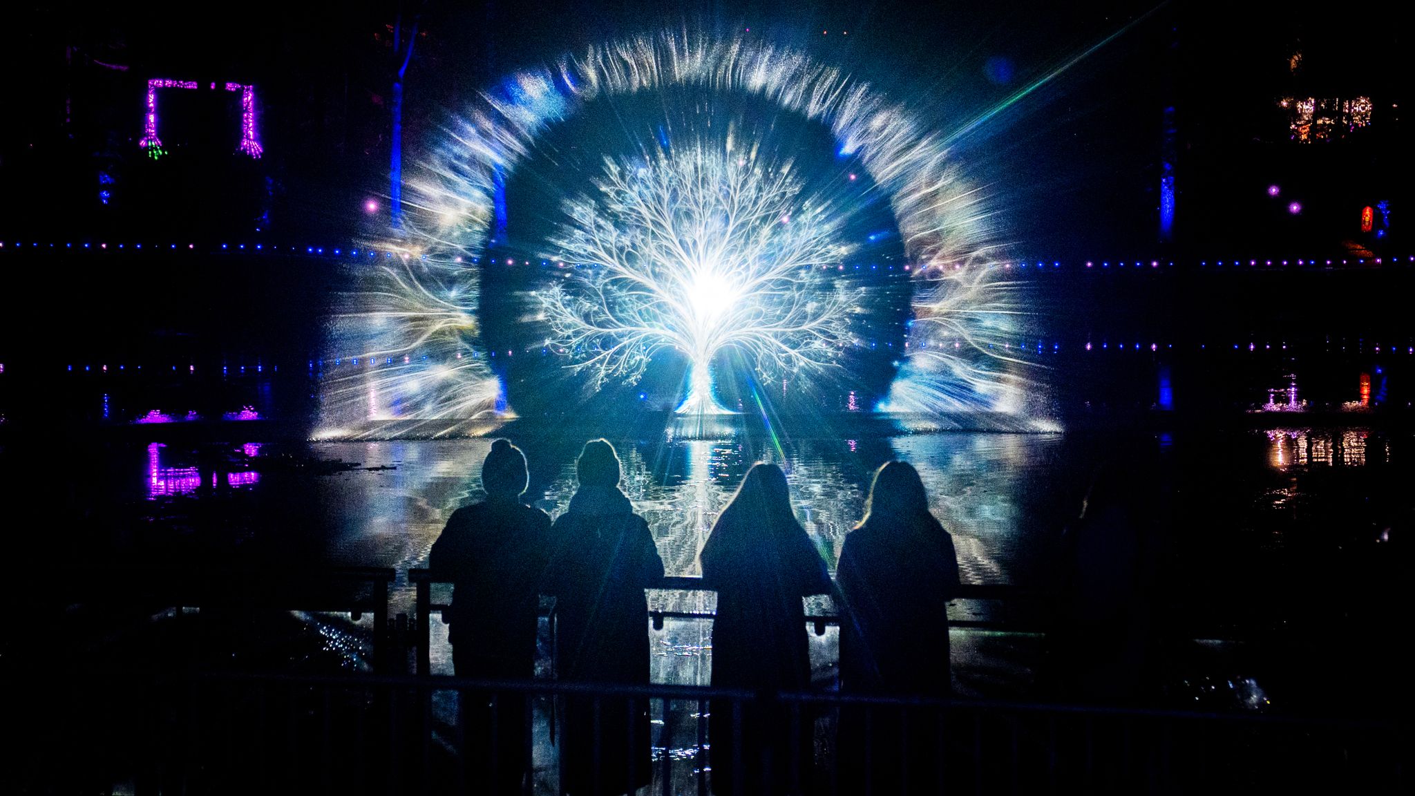 Image showing The Enchanted Forest